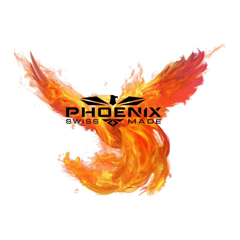 KYDEX Holster für PHOENIX Pistolen